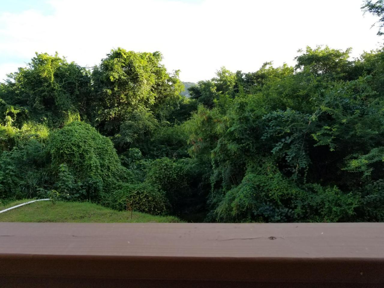 Keep Cool Guesthouse Gros Islet Exterior foto